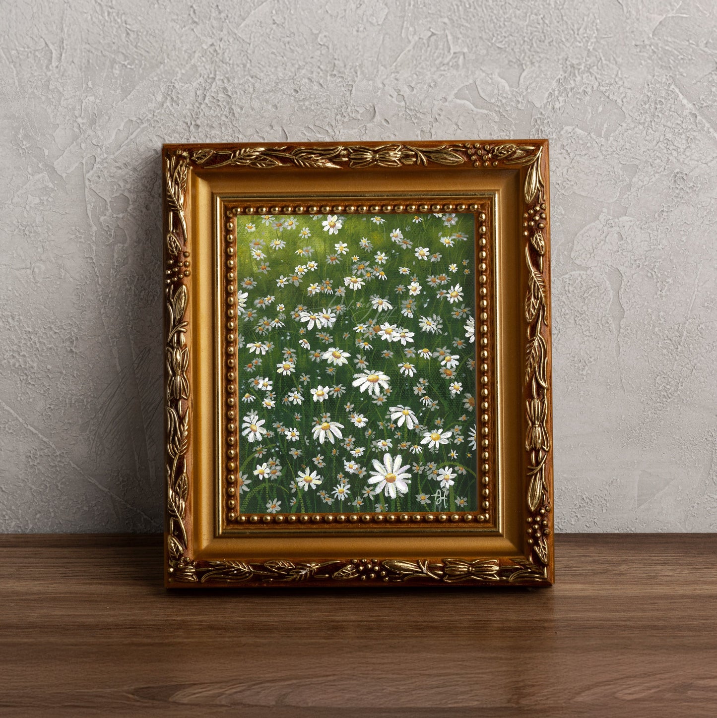 Daisy Fields Canvas Print