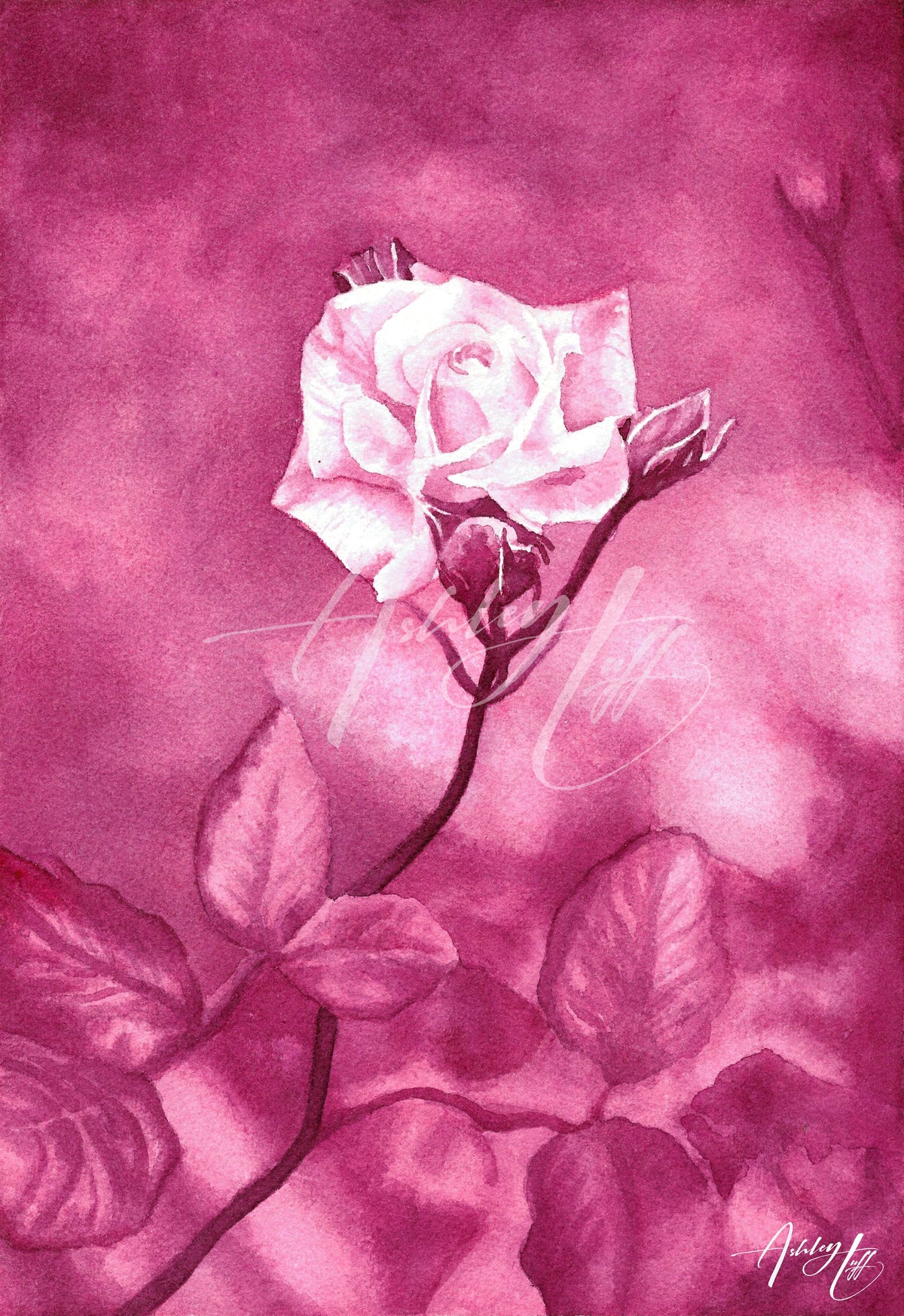 Monochromatic Rose Giclée Print