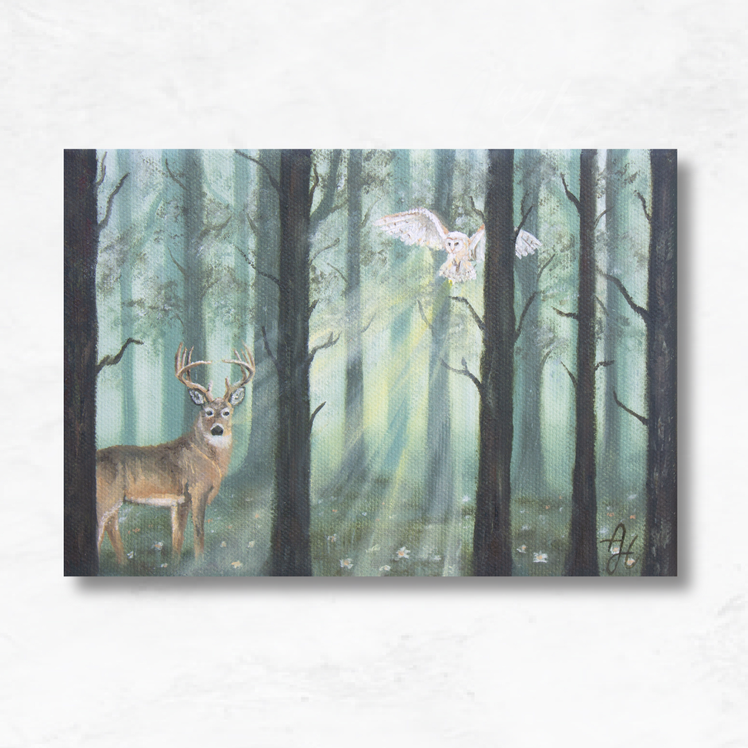 Morning Glow Canvas Print