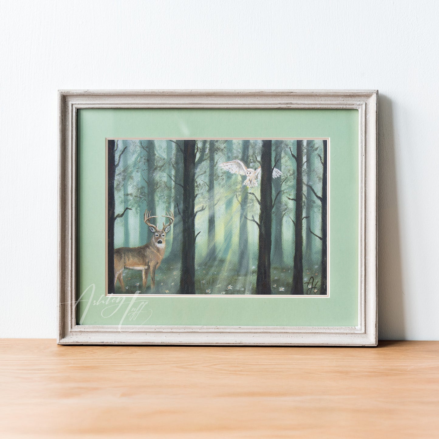 Morning Glow Canvas Print