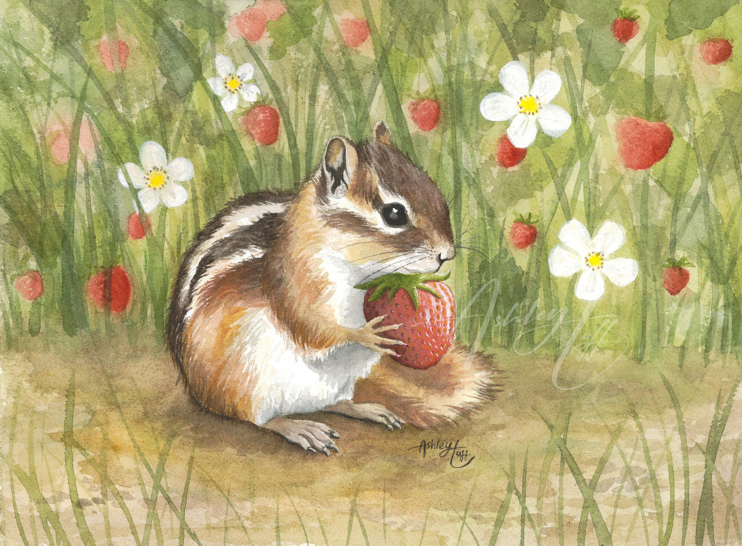 An Afternoon Snack Watercolor