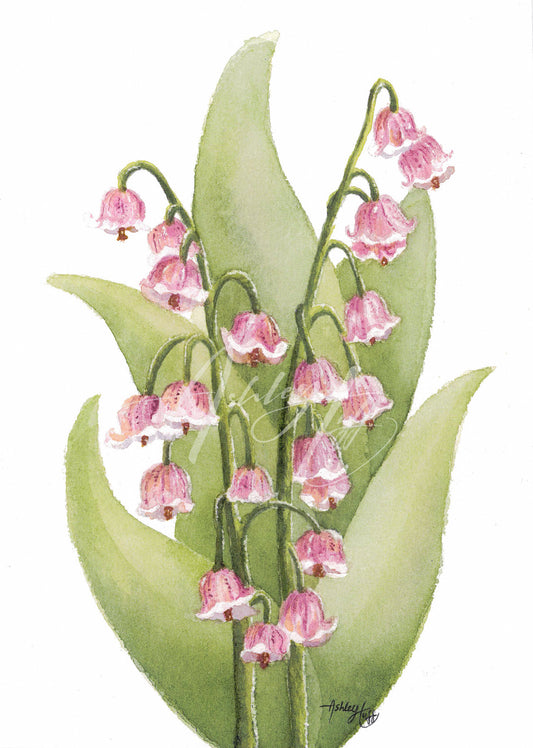 Consider the Lilies Print