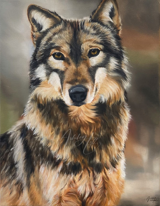 Eyes of the Wild Oil Painting