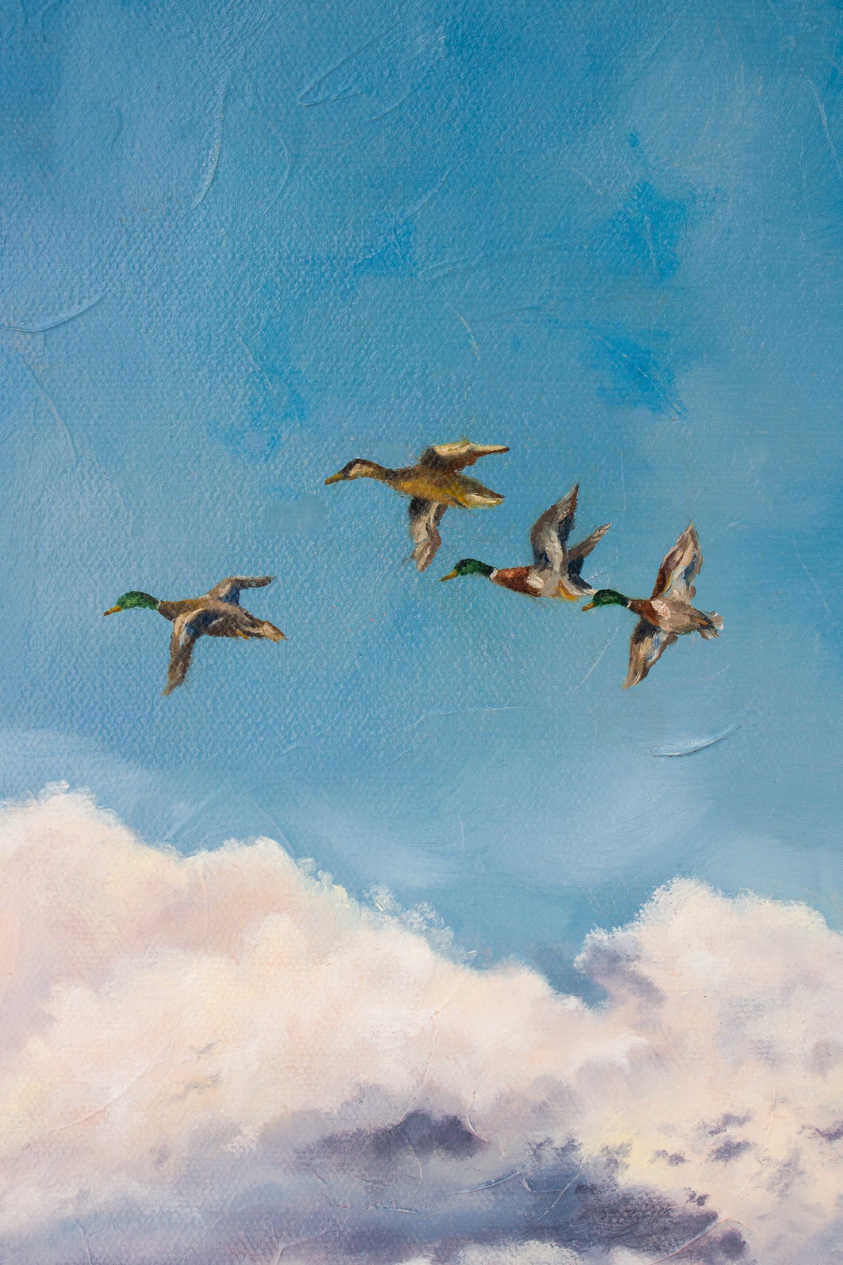 Mallards Print