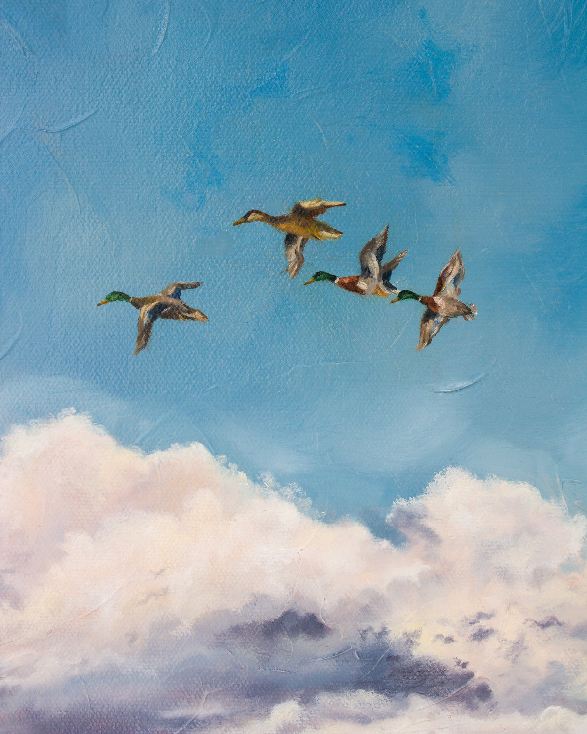 Mallards Print
