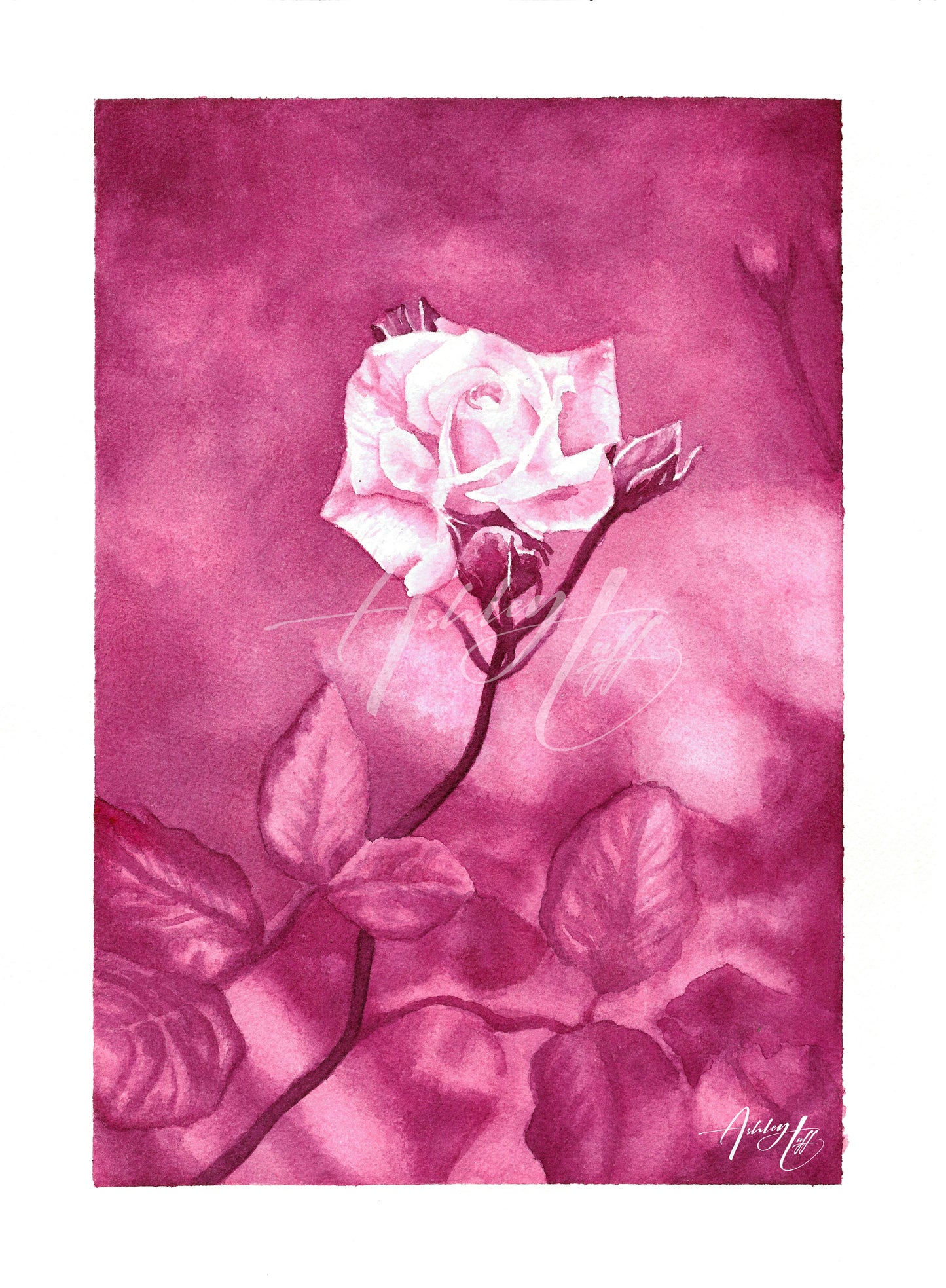 Monochromatic Rose Giclée Print